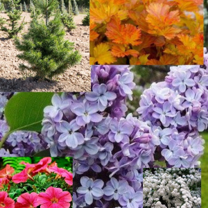 День прошел не зря. День прошел не зря.