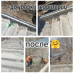 Порядок возле дома № 31 по улице Толбухина. Порядок возле дома № 31 по улице Толбухина.